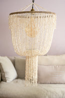 Organic Shaped Shell Lamp - Natural Boho Lighting | Mandala Stencils